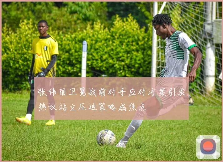 张伟丽卫冕战前对手应对方案引发热议站立压迫策略成焦点